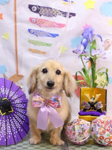 20240525ここあちゃん 